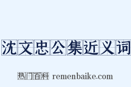沈文忠公集近义词是什么意思的图片